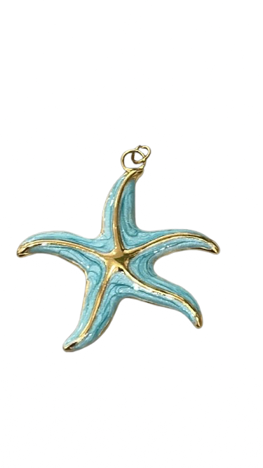 Dije Estrella de Mar