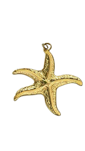 Dije Estrella de Mar