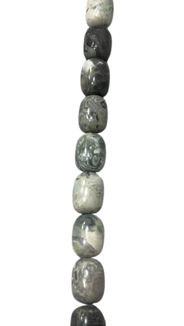 Varicita  18 x 12 mm