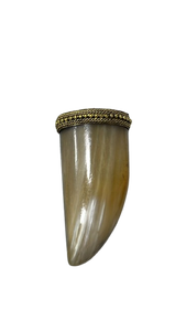 Dije Colmillo Tibetano