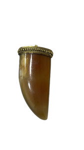 Dije Colmillo Tibetano