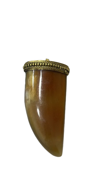 Dije Colmillo Tibetano