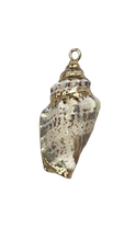 Cargar imagen en el visor de la galería, Caracol
