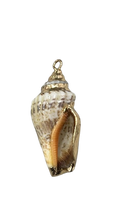 Cargar imagen en el visor de la galería, Caracol
